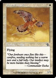 【Foil】《陽光尾の鷹/Suntail Hawk》[JUD] 白C