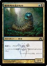 【Foil】《植林地を這うもの/Woodlot Crawler》[DGM] 金U