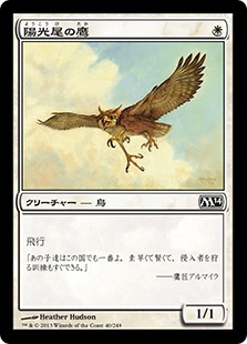 【Foil】《陽光尾の鷹/Suntail Hawk》[M14] 白C