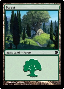 (247)《森/Forest》[THS] 土地