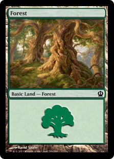 (249)《森/Forest》[THS] 土地