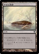 《やせた原野/Barren Moor》[C13] 土地C