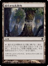 《進化する未開地/Evolving Wilds》[C13] 土地C