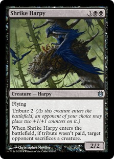 【Foil】《モズのハーピー/Shrike Harpy》[BNG] 黒U