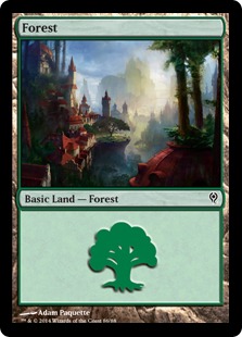 (086)《森/Forest》[JvV] 土地