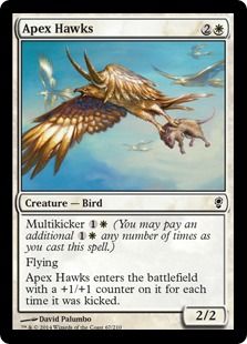 《天頂の鷹/Apex Hawks》[CNS] 白C