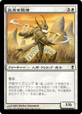 【Foil】《気高き院僧/Noble Templar》[CNS] 白C