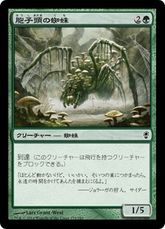 【Foil】《胞子頭の蜘蛛/Sporecap Spider》[CNS] 緑C