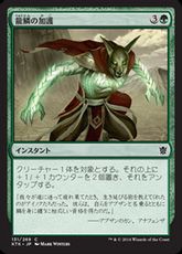 【Foil】《龍鱗の加護/Dragonscale Boon》[KTK] 緑C