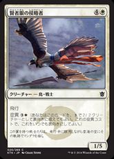 【Foil】《賢者眼の侵略者/Sage-Eye Harrier》[KTK] 白C