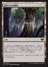 《進化する未開地/Evolving Wilds》[C14] 土地C