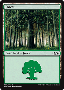 (030)《森/Forest》[DD3・EvG] 土地