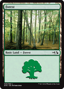 (029)《森/Forest》[DD3・EvG] 土地