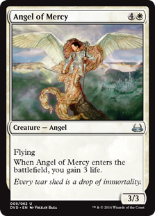 《慈悲の天使/Angel of Mercy》[DD3・DvD] 白U