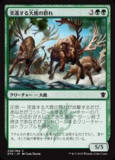 【Foil】《突進する大鹿の群れ/Stampeding Elk Herd》[DTK] 緑C