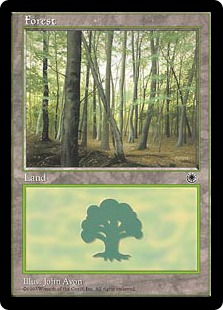 《森/Forest》(B)[POR] 土地