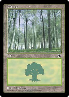 《森/Forest》(D)[POR] 土地