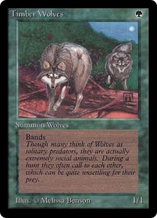 《森林狼/Timber Wolves》[LEB] 緑R