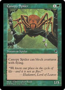 《梢の蜘蛛/Canopy Spider》[TMP] 緑C
