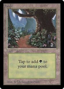(A/Path)《森/Forest》[LEB] 土地