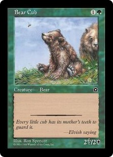 《仔熊/Bear Cub》[PO2] 緑C