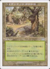 《ヘイヴンウッドの古戦場/Havenwood Battleground》[6ED] 土地U