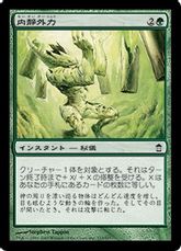 【Foil】《内静外力/Inner Calm, Outer Strength》[SOK] 緑C