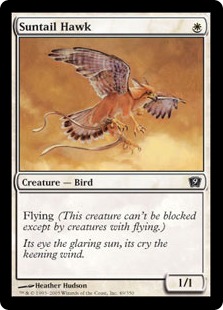 【Foil】《陽光尾の鷹/Suntail Hawk》[9ED] 白C