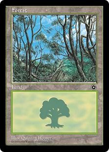 (A/Sky)《森/Forest》[PO2] 土地