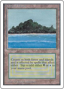 Tropical Island》[2ED] 土地R | 日本最大級 MTG通販サイト「晴れる屋」