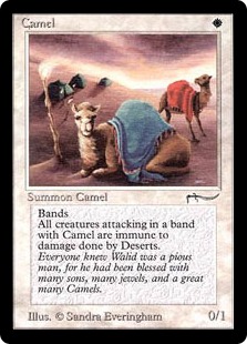 《Camel》[ARN] 白C
