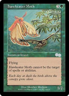 《鷹喰い蛾/Hawkeater Moth》[USG] 緑U
