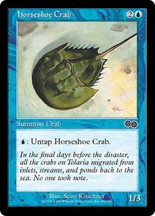 《カブトガニ/Horseshoe Crab》[USG] 青C