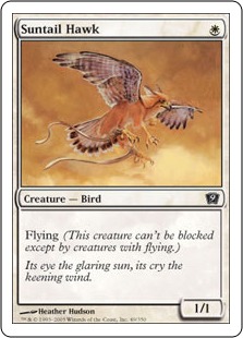 《陽光尾の鷹/Suntail Hawk》[9ED] 白C