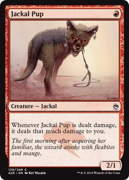 《ジャッカルの仔/Jackal Pup》[A25] 赤C