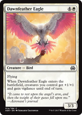 《暁羽の鷲/Dawnfeather Eagle》[AER] 白C