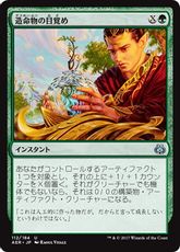 【Foil】《造命物の目覚め/Lifecraft Awakening》[AER] 緑U