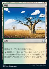 (242)《草原/Grasslands》[AFC] 土地U