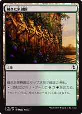 《穢れた果樹園/Foul Orchard》[AKH] 土地C