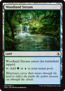 《森林地の小川/Woodland Stream》[AKH] 土地C