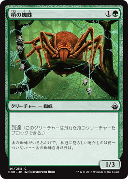 《梢の蜘蛛/Canopy Spider》[BBD] 緑C