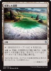 【Foil】《荒廃した湿原/Blighted Fen》[BFZ] 土地U