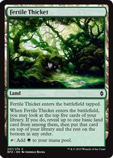 【Foil】《肥沃な茂み/Fertile Thicket》[BFZ] 土地C