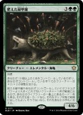 【Foil】(171)《肥えた緑甲羅/Fecund Greenshell》[BLB] 緑R