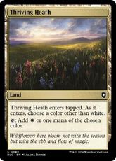 (348)《興隆する荒野/Thriving Heath》[BLC] 土地C