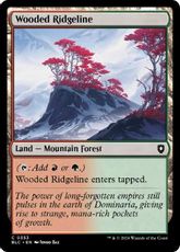 (353)《樹木茂る尾根/Wooded Ridgeline》[BLC] 土地C