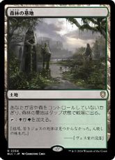 (354)《森林の墓地/Woodland Cemetery》[BLC] 土地R