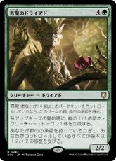 (242)《若葉のドライアド/Tendershoot Dryad》[BLC] 緑R