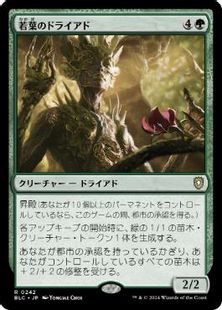(242)《若葉のドライアド/Tendershoot Dryad》[BLC] 緑R
