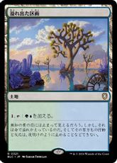 (321)《溢れ出た区画/Overflowing Basin》[BLC] 土地R